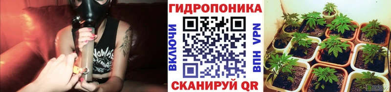 Каннабис THC 21%  закладки  Порхов 